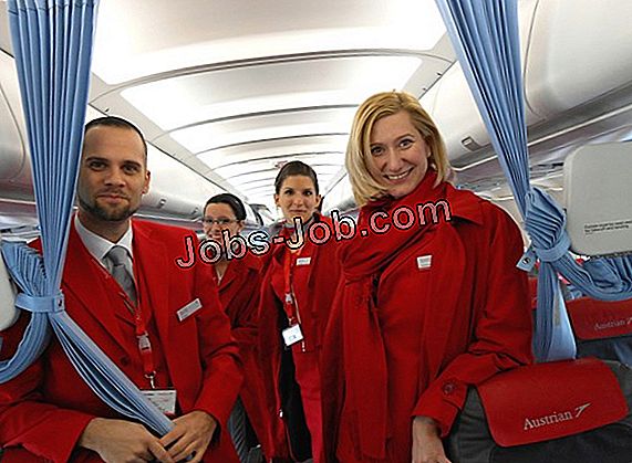American Airlines Flugbegleiter Ausbildung Karriere Und Arbeit 21