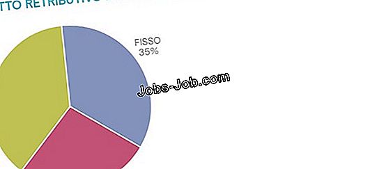 Quanto Guadagna Un Amministratore Esecutivo A Proposito Di Stipendio