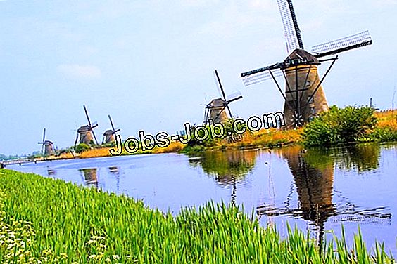 Historische Ontwikkeling Van Boekhouding