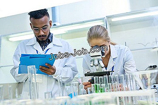 Salaire D Un Doctorat En Pharmacologie Propos Du Salaire 2022