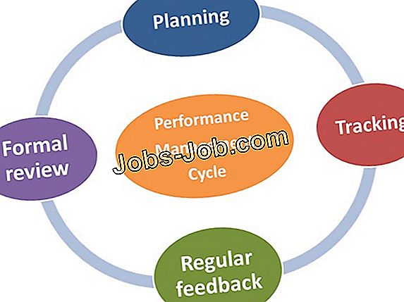 the-performance-review-process-for-project-management