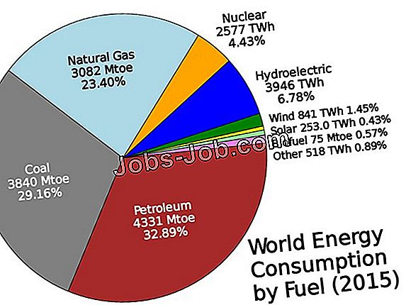 Liste Der Verschiedenen Arten Von Biologen Stellenbeschreibung 2025