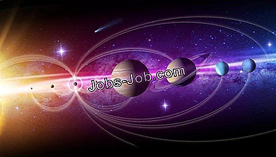 principal-scientist-job-beschreibung-stellenbeschreibung-2025