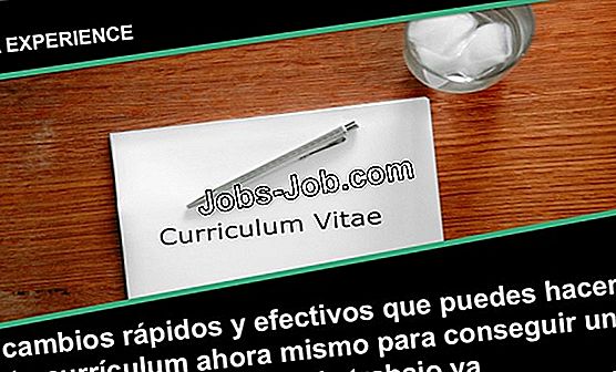 c-mo-escribir-un-cv-para-un-trabajo-de-asistente-de-investigaci-n