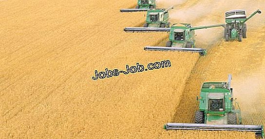 la-diferencia-entre-las-cosechadoras-john-deere-9600-y-9610