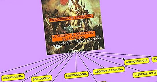 El prop sito de la ciencia forense descripci n del trabajo 2022