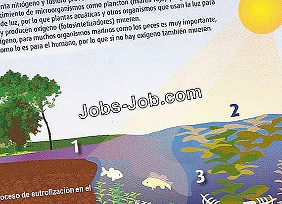  Cu l Es El Salario Y Los Beneficios De Un Qu mico Ambiental Sobre 
