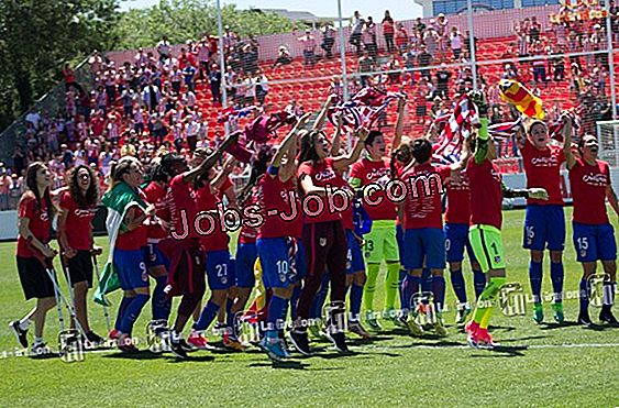 cu-nto-gana-el-entrenador-de-f-tbol-de-la-divisi-n-i-promedio-sobre