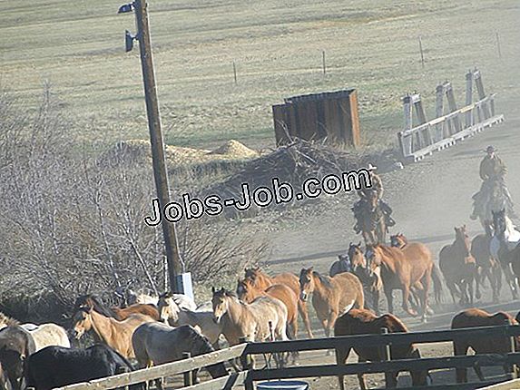 comment-devenir-un-emt-au-colorado-carri-re-et-travail-2023