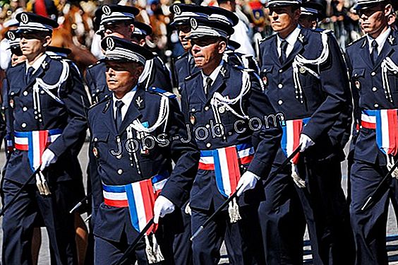 Description Du Poste D'Officier De Police Auxiliaire Description du