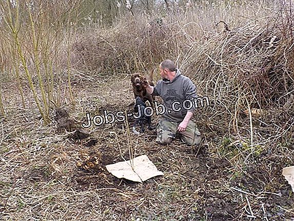 description-de-travail-des-op-rations-a-roportuaires-description-du