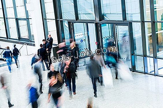 Airport Customer Service Job Description Taakomschrijving 2024
