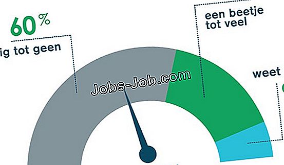 hoeveel-doet-de-gemiddelde-cartoonist-over-salaris-2024