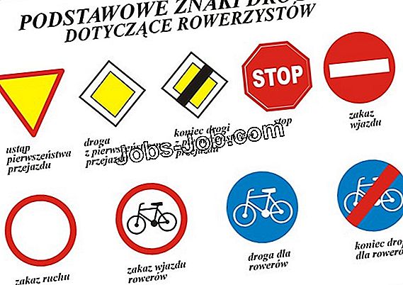 jakie-s-rodzaje-pracy-dla-osobowo-ci-zorientowanych-na-badania